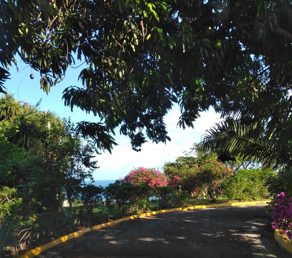 Appartamento Irresistible View-Mobay Club 1408 Montego Bay Esterno foto