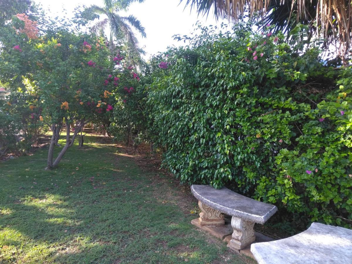 Appartamento Irresistible View-Mobay Club 1408 Montego Bay Esterno foto