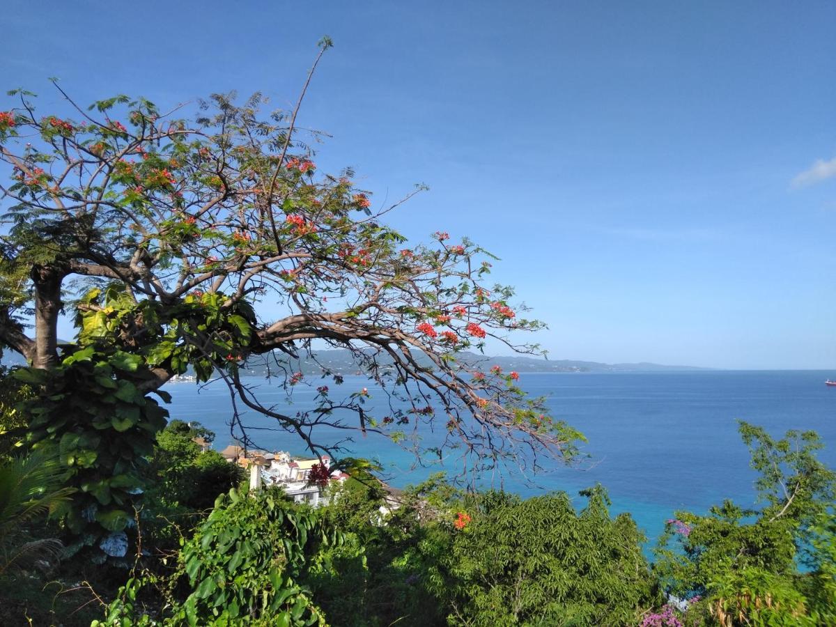 Appartamento Irresistible View-Mobay Club 1408 Montego Bay Esterno foto